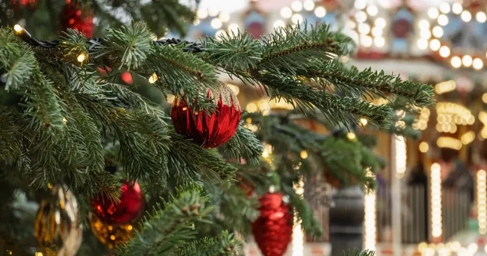 Oceanside, California Seasonal Festivals Guide: Best Times to Visit & What You’ll Enjoy
