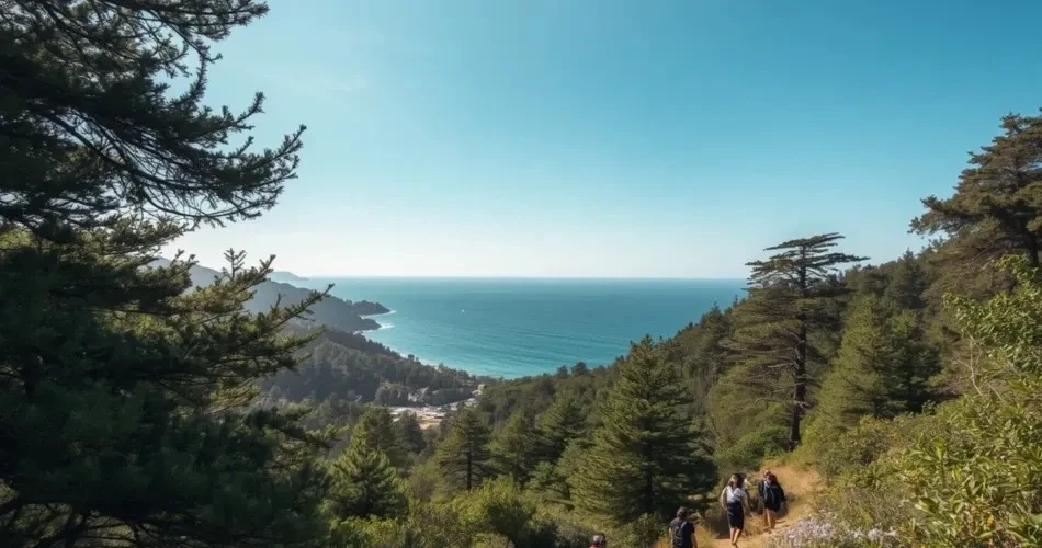 Oceanside Coastal Adventure Guide: Surf, Kayak, Hike & Discover